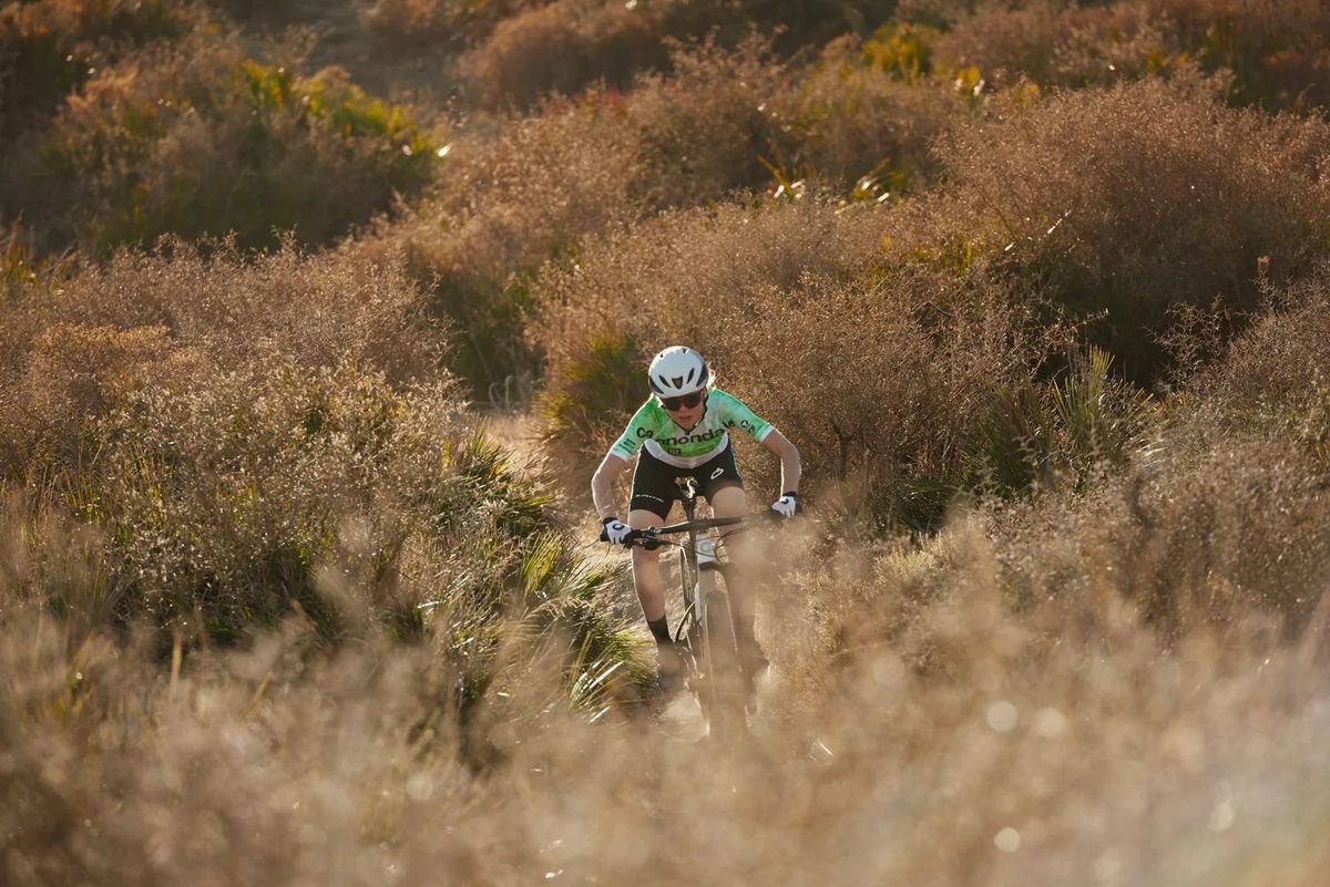 Come scegliere la prima Mountain Bike: consigli utili