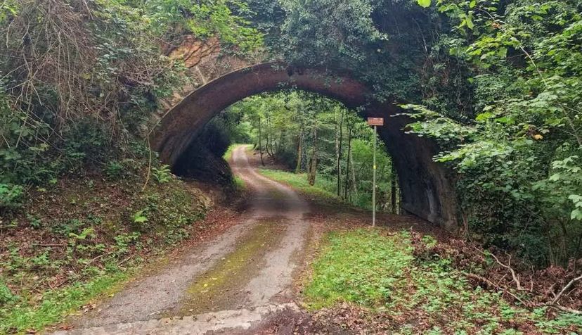 tunnel lungo la ciclabile sul Tagliamento, uno degli itinerari ciclabili lungofiume in Italia