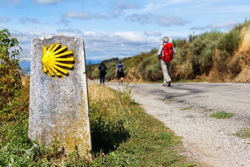 conchiglia gialla posta sul cammino di santiago de compostela