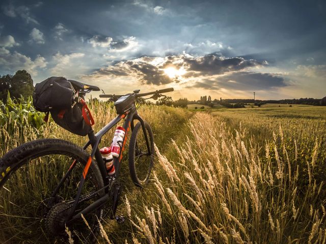 MTB - l'importanza del rinforzo muscolare