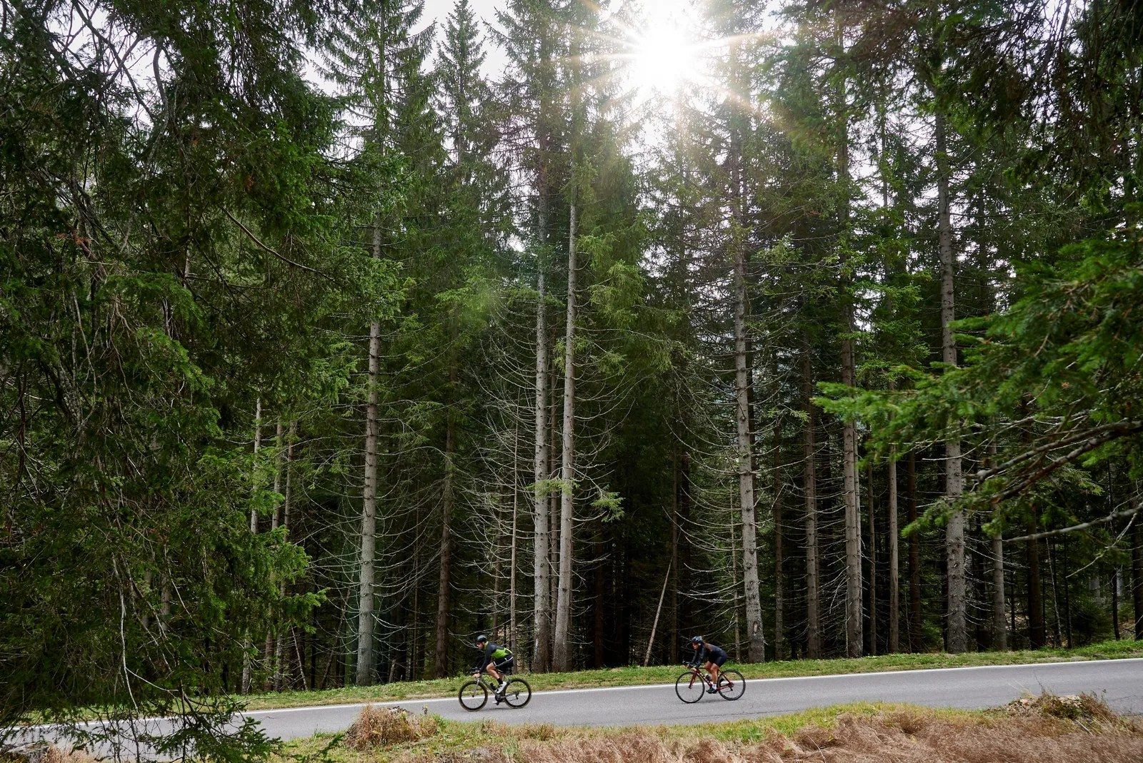 pedalare in Trentino