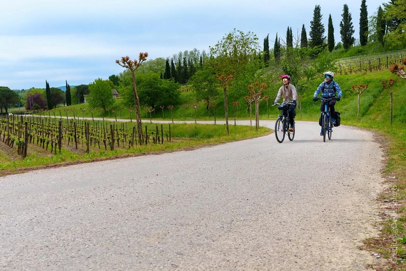 Ciclisti tra i vigneti. Credits: @Devis Solerti