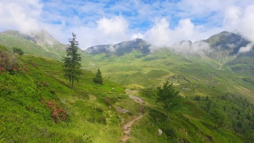 itinerario con i cani di Zaini e Zampe ai Laghi di Cardeto