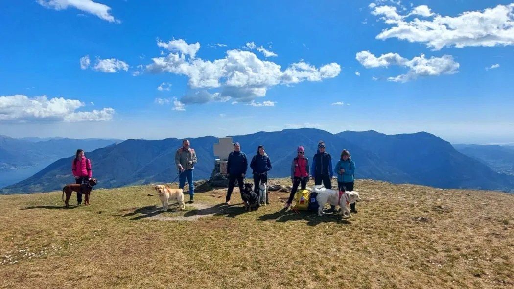 Escursioni in natura con il cane