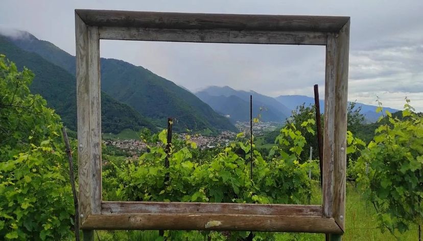 Quadro all'Osteria senz'oste, Veneto