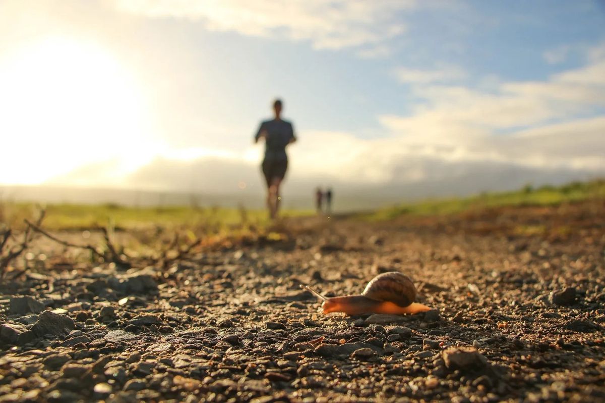 Come iniziare a correre? Istruzioni per l'uso