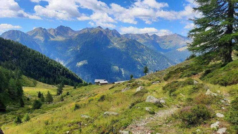 itinerario Val Bresimo con i cani Zaini e Zampe