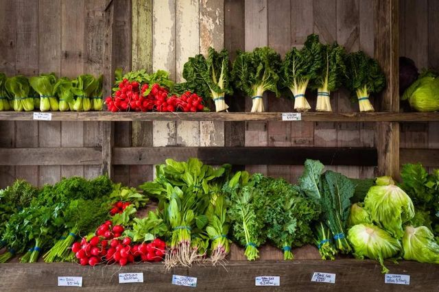Verdure invernali: 6 benefici per l'allenamento