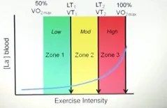 Allenamento a zone, il giusto bilanciamento